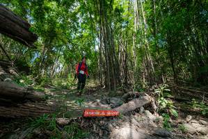 BIB: 
                            <button type="button" onclick="openModal(19393991)" class="btn btn-primary btn-sm float-right btn-popup" data-toggle="modal" data-target=".modal-high-quality">
                        <i class="fas fa-shopping-cart"></i> Add to Cart
                    </button>
                                            <button type="button" onclick="isThisMe(19393991, true)" class="btn btn-success btn-sm float-right btn-popup btn-isme hidden" data-toggle="tooltip" data-placement="bottom" title="นี่คือรูปของคุณใช่ไหม คลิกที่นี่เพื่อเอาเข้าอัลบั้ม">
                        <i class="fas fa-plus"></i> Add to album
                    </button>
                    <button type="button" onclick="isThisMe(19393991, false)" class="btn btn-warning btn-sm float-right btn-popup btn-isnotme hidden">
                        <i class="fas fa-ban"></i> Remove from album
                    </button>